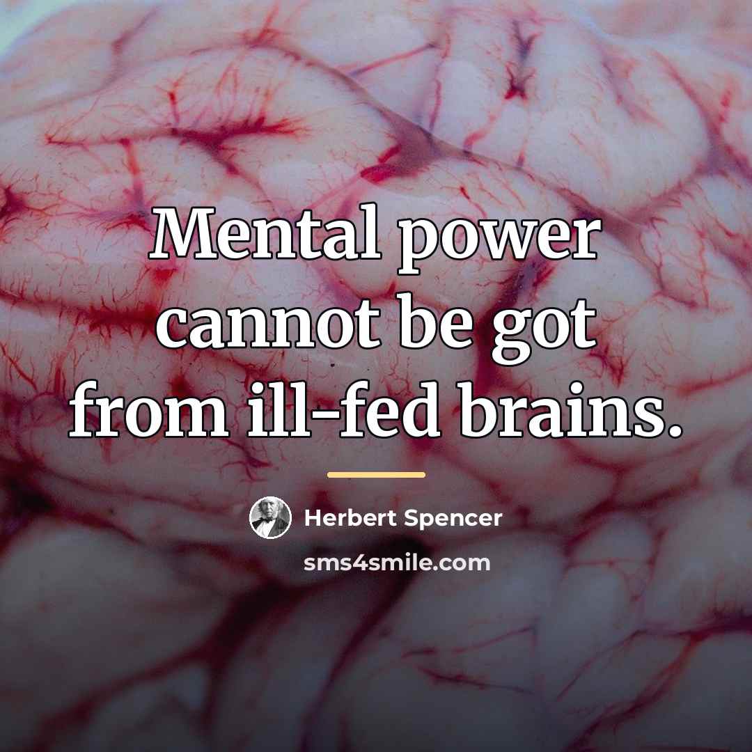 “Mental power cannot be got from ill-fed brains.…” quote by Herbert Spencer
