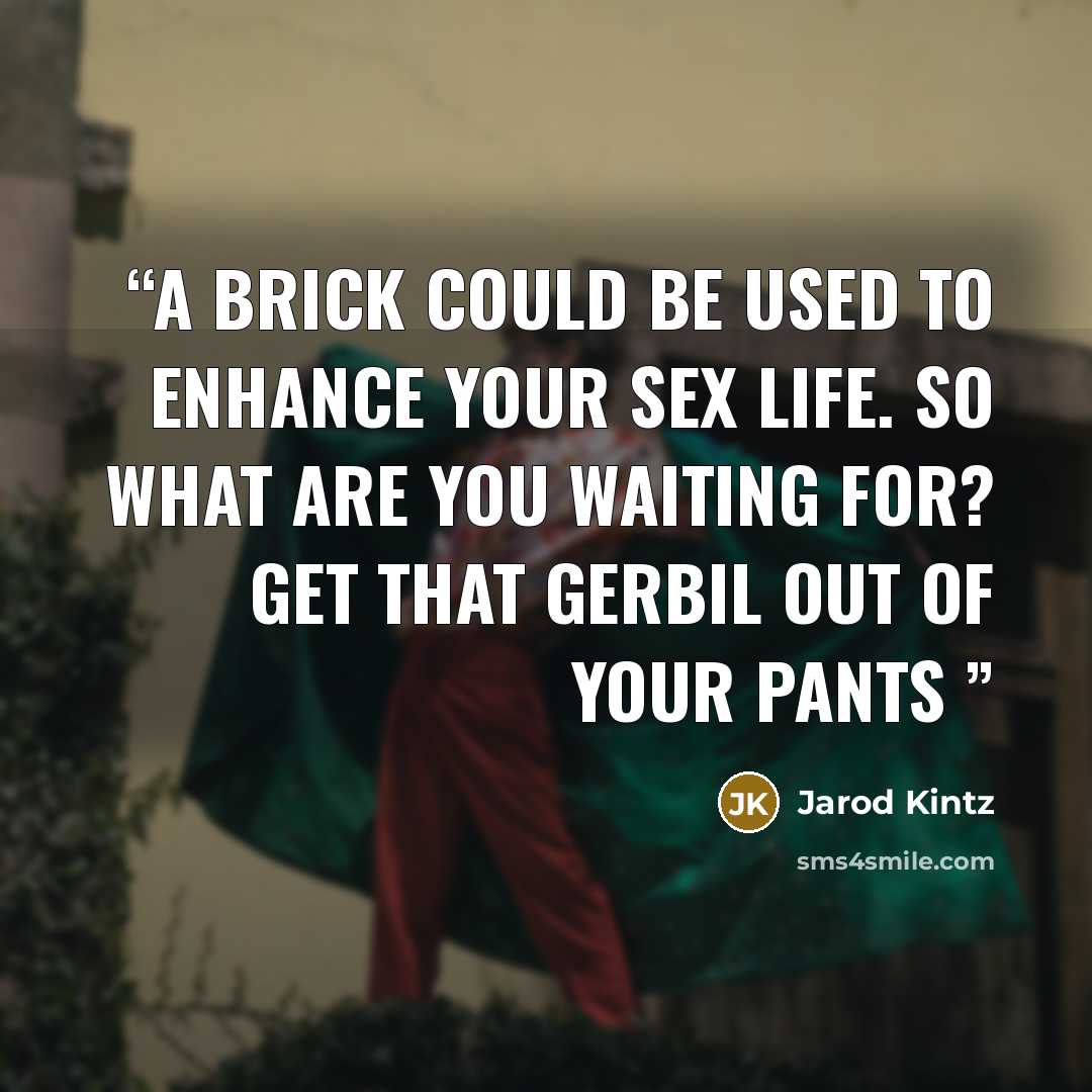 “A brick could be used to enhance your sex life. So what are you waiting for? Get that gerbil out of your pants” quote by Jarod Kintz