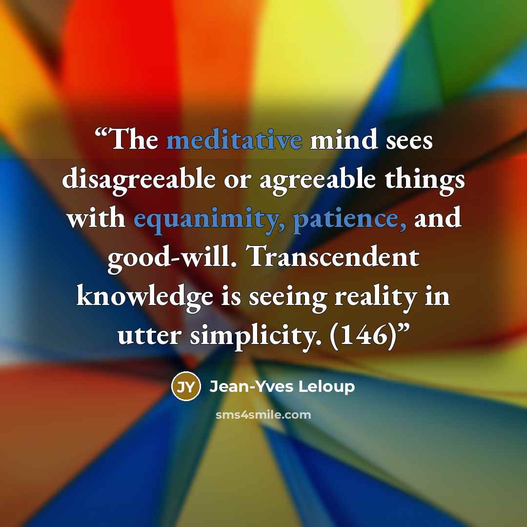 “The meditative mind sees disagreeable or agreeable things with equanimity, patience, and good-will. Transcendent knowledge is seeing reality in utter simplicity. (146)” quote by Jean-Yves Leloup