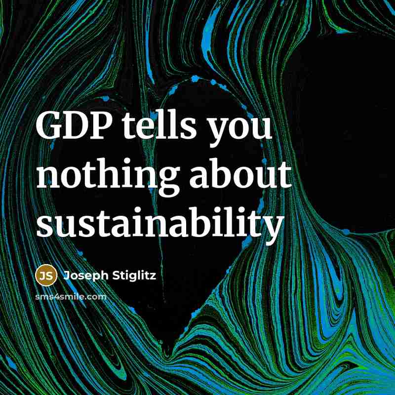 “GDP tells you nothing about sustainability…” quote by Joseph Stiglitz