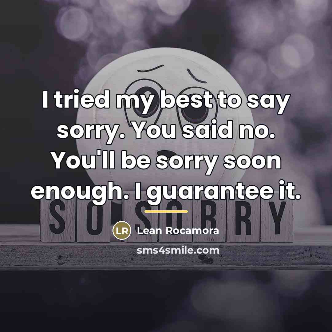 “I tried my best to say sorry. You said no.…” quote by Lean Rocamora
