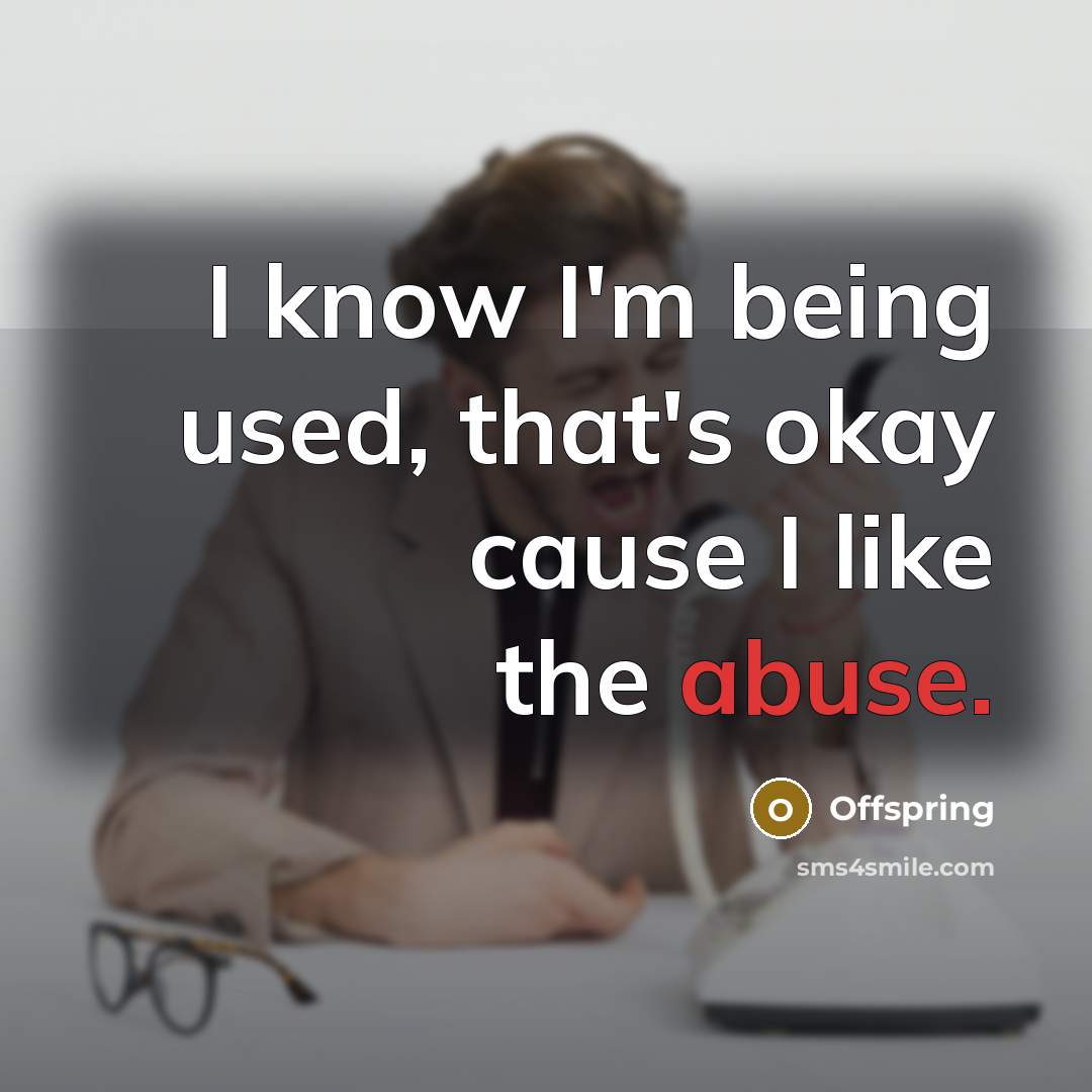 “I know I'm being used, that's okay cause I like…” quote by Offspring