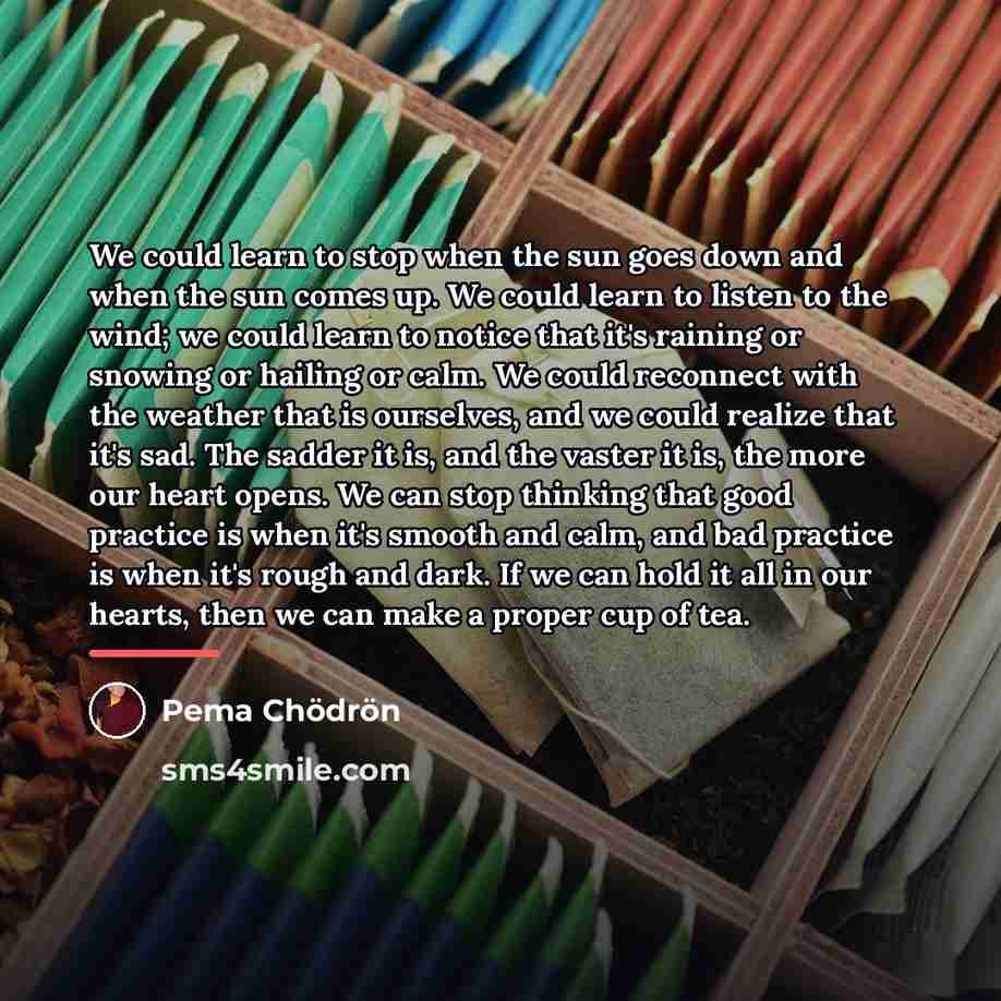 “We could learn to stop when the sun goes down…” quote by Pema Chodron
