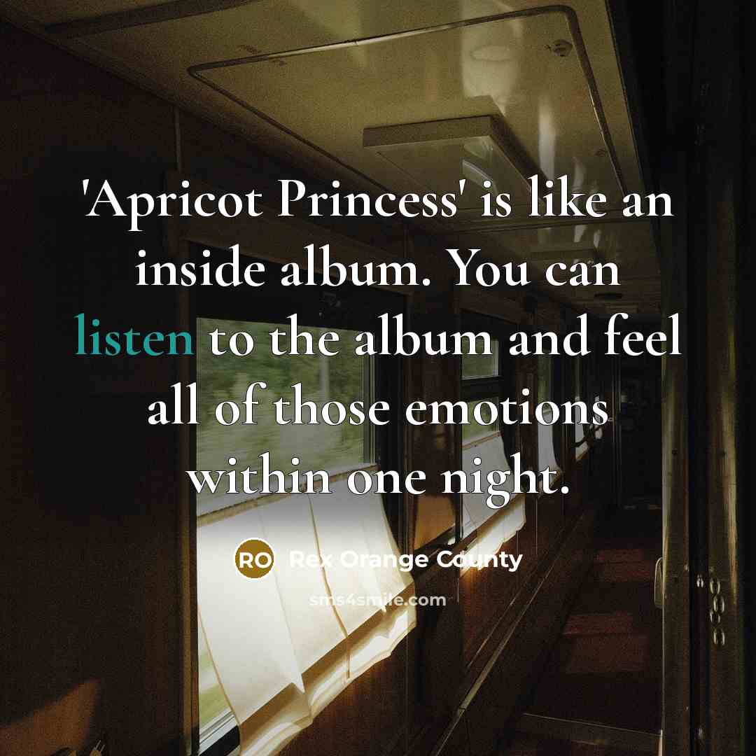 “'Apricot Princess' is like an inside album. You can listen…” quote by Rex Orange County