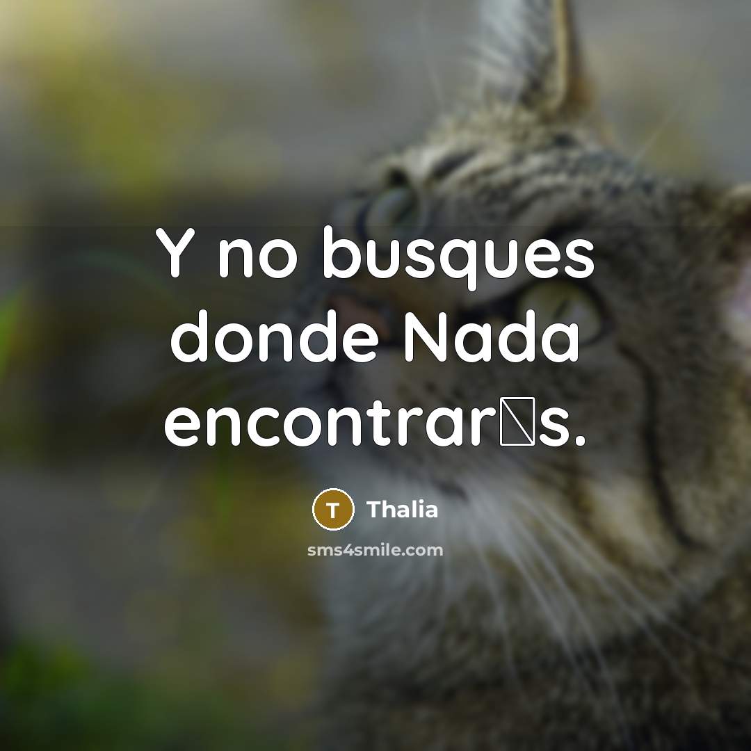 “Y no busques donde Nada encontrar�s.…” quote by Thalia