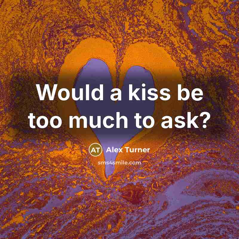 “Would a kiss be too much to ask?” quote by Alex Turner