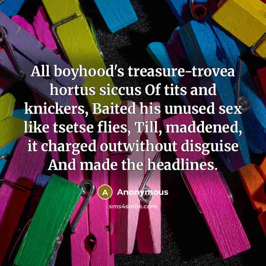 “All boyhood's treasure-trovea hortus siccus Of tits and knickers, Baited his unused sex like tsetse flies, Till, maddened, it charged outwithout disguise And made the headlines.” quote by Anonymous