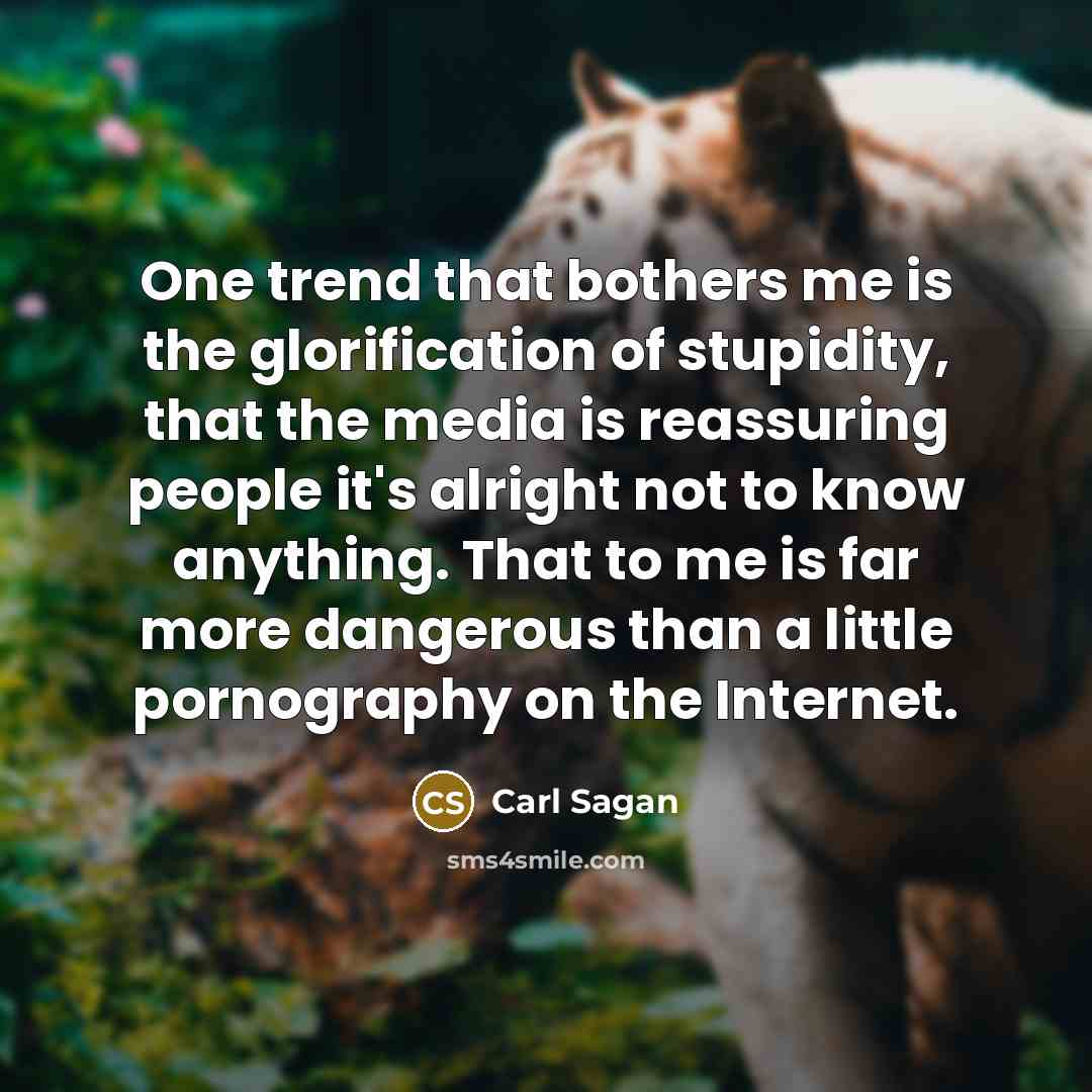 “One trend that bothers me is the glorification of stupidity,…” quote by Carl Sagan