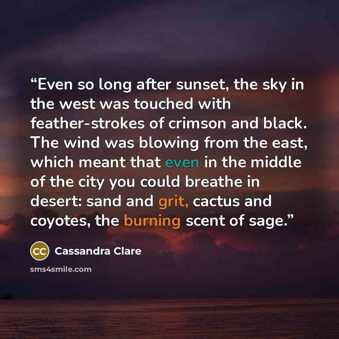 “Even so long after sunset, the sky in the west was touched with feather-strokes of crimson and black. The wind was blowing from the east, which meant that even in the middle of the city you could breathe in desert: sand and grit, cactus and coyotes, the burning scent of sage.” quote by Cassandra Clare