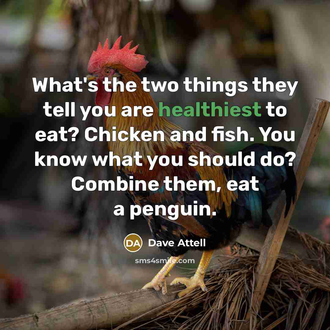 “What's the two things they tell you are healthiest to eat? Chicken and fish. You know what you should do? Combine them, eat a penguin.” quote by Dave Attell
