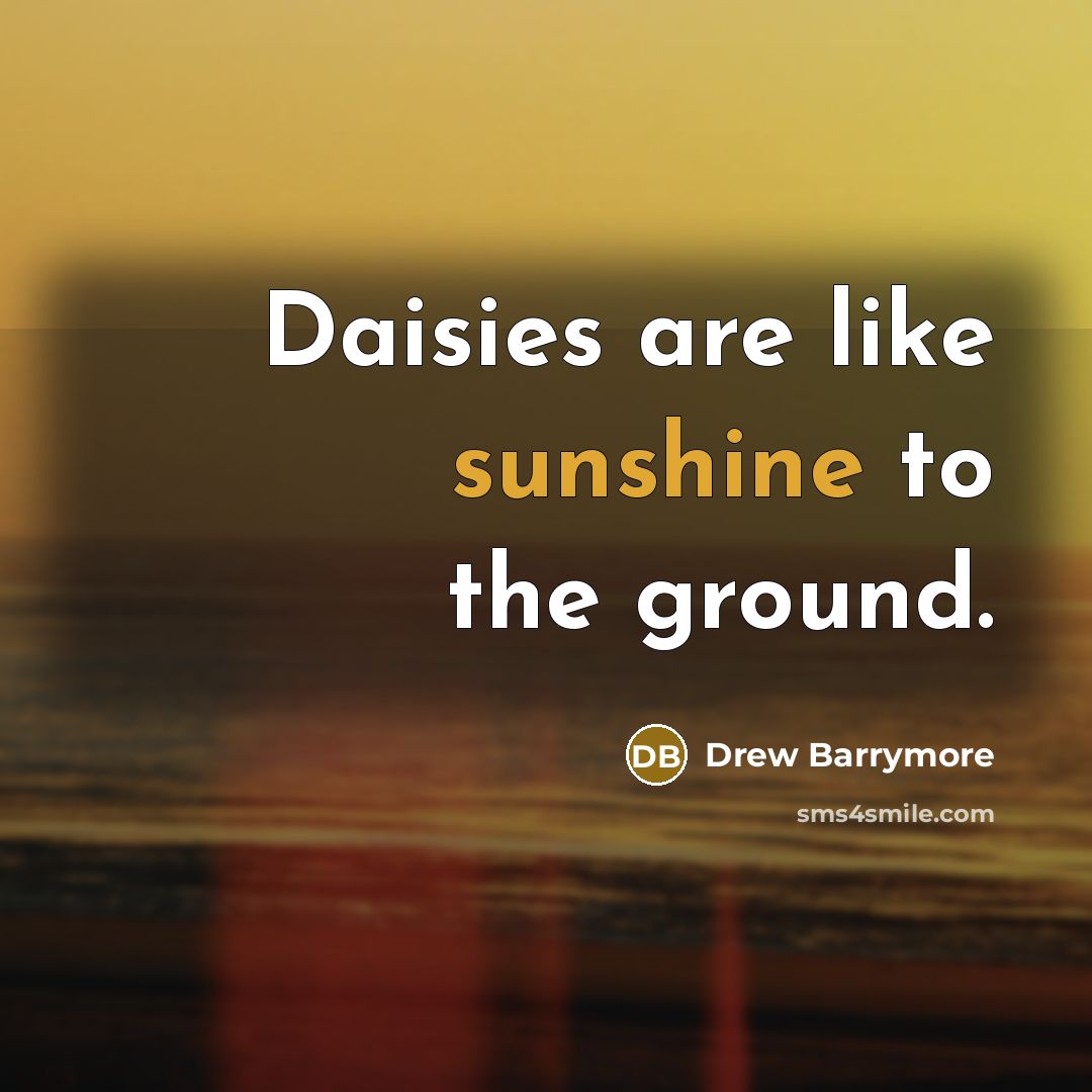 “Daisies are like sunshine to the ground.…” quote by Drew Barrymore