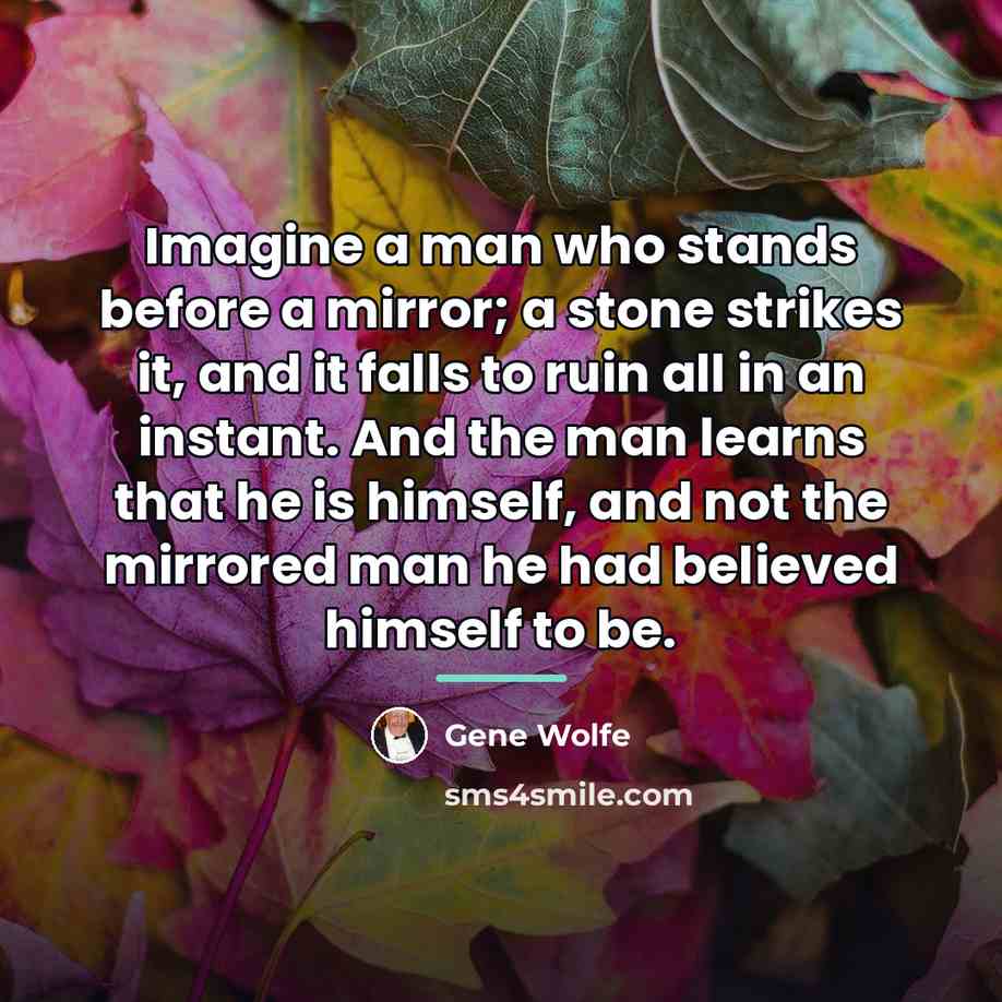 “Imagine a man who stands before a mirror; a stone…” quote by Gene Wolfe