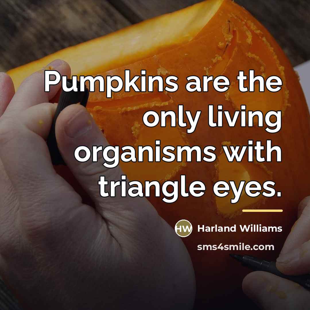 “Pumpkins are the only living organisms with triangle eyes.…” quote by Harland Williams