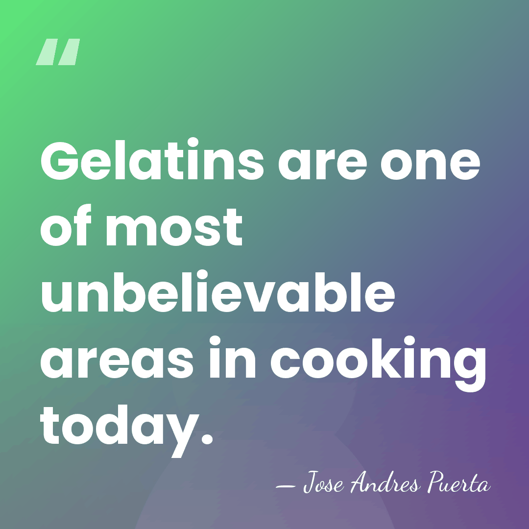 Gelatins are one of most unbelievable areas in cooking today. - Jose Andres Puerta