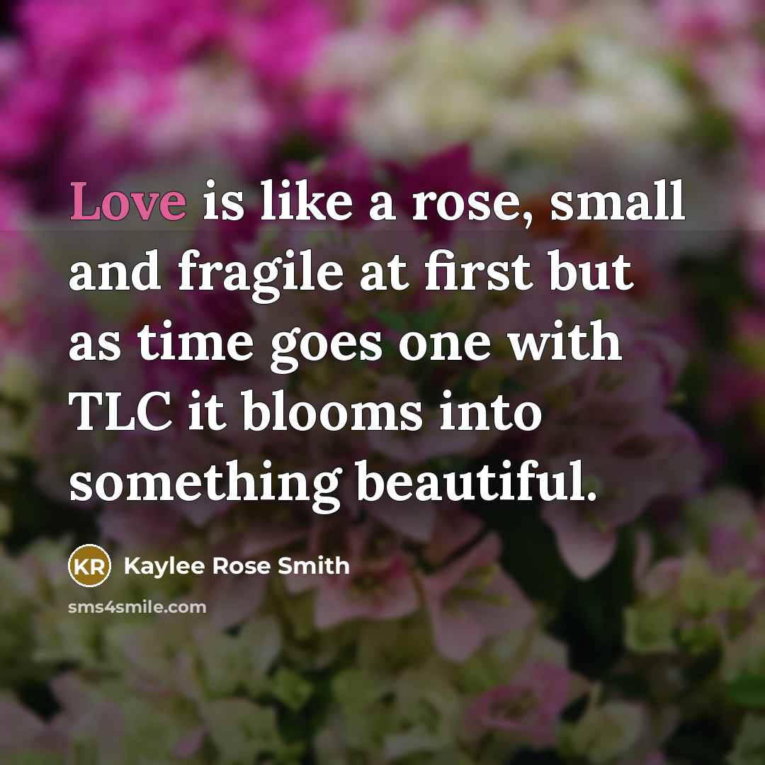 “Love is like a rose, small and fragile at first…” quote by Kaylee Rose Smith