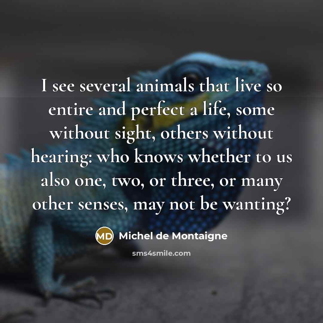“I see several animals that live so entire and perfect…” quote by Michel de Montaigne