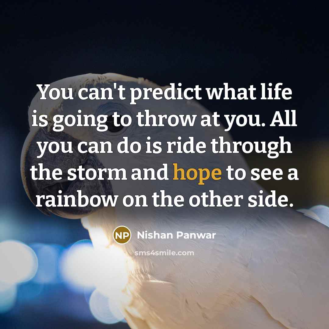 “You can't predict what life is going to throw at…” quote by Nishan Panwar