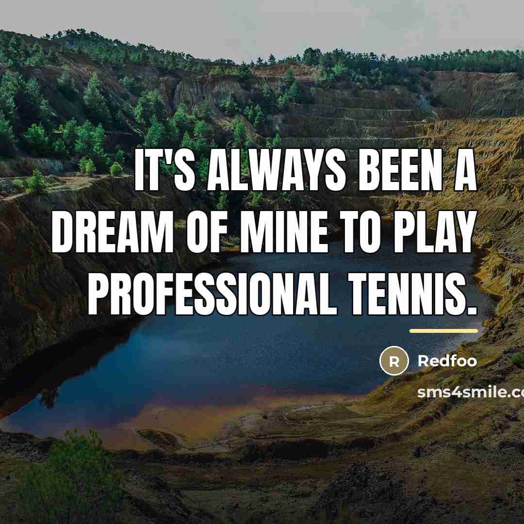 “It's always been a dream of mine to play professional…” quote by Redfoo