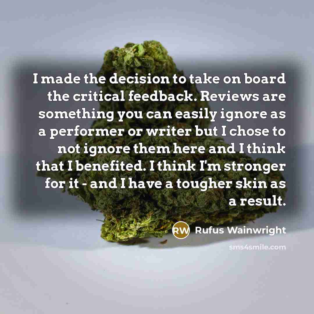 “I made the decision to take on board the critical…” quote by Rufus Wainwright