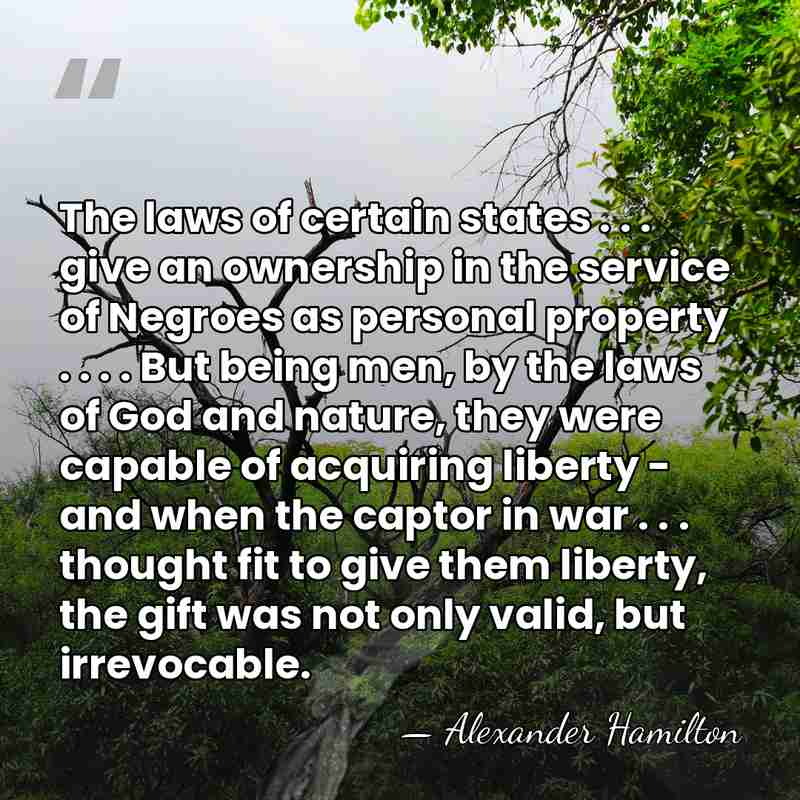 The laws of certain states . . . give an ownership in&hellip; - Alexander Hamilton
