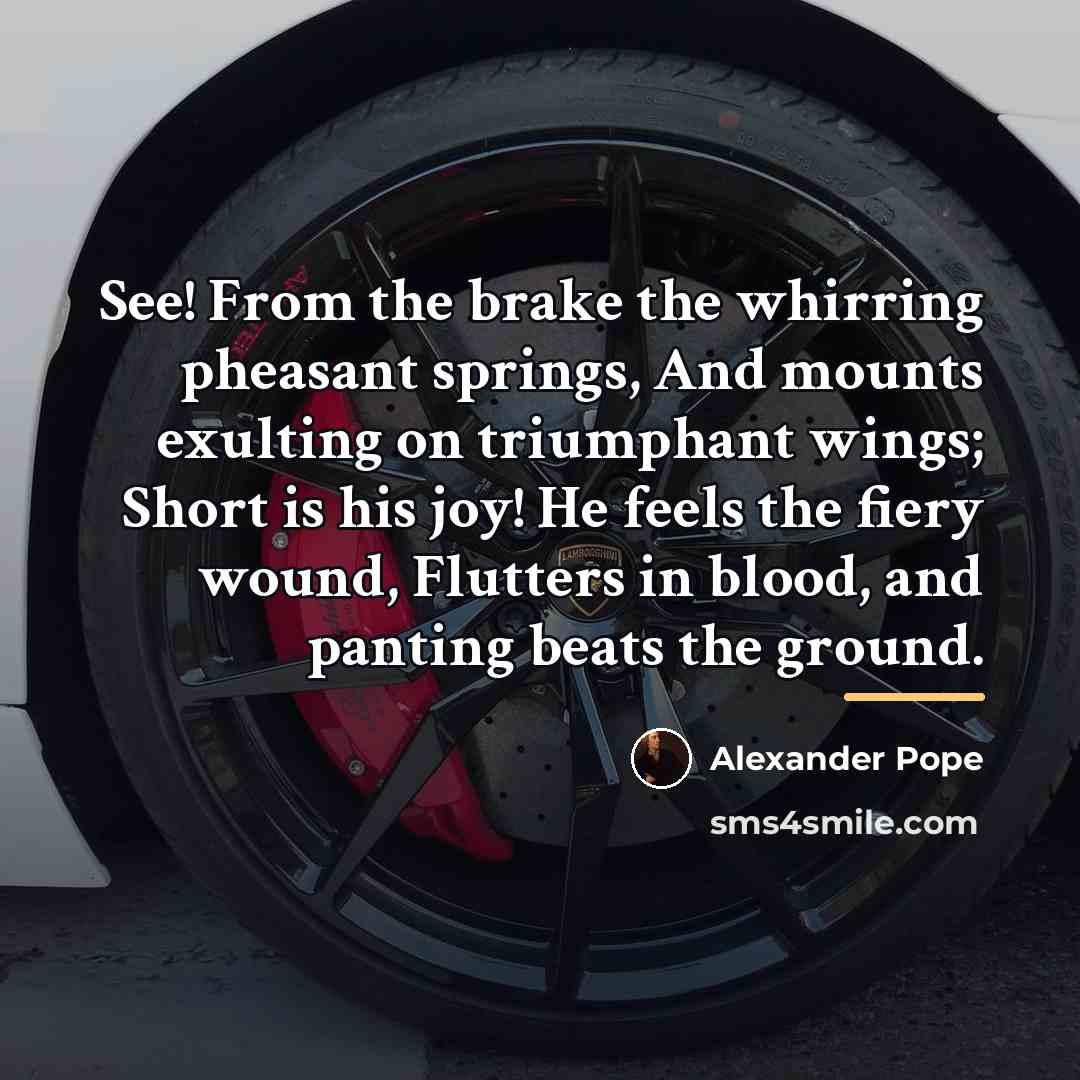 “See! From the brake the whirring pheasant springs, And mounts…” quote by Alexander Pope