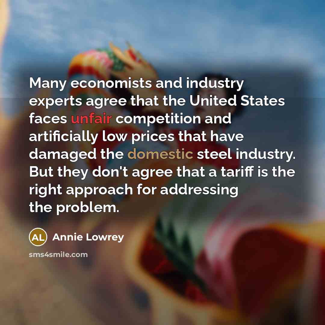 “Many economists and industry experts agree that the United States faces unfair competition and artificially low prices that have damaged the domestic steel industry. But they don't agree that a tariff is the right approach for addressing the problem.” quote by Annie Lowrey