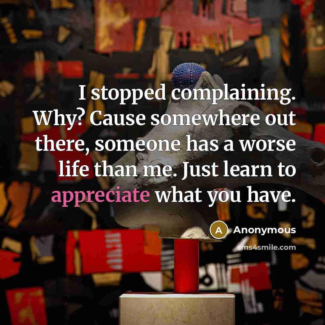 “I stopped complaining. Why? Cause somewhere out there, someone has a worse life than me. Just learn to appreciate what you have.” quote by Anonymous