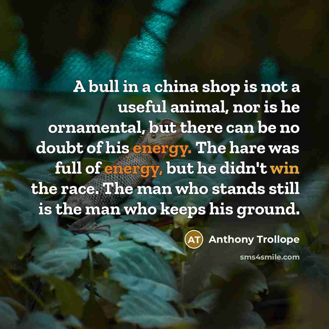 “A bull in a china shop is not a useful…” quote by Anthony Trollope