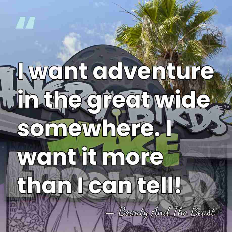 I want adventure in the great wide somewhere. I want it more&hellip; - Beauty And The Beast