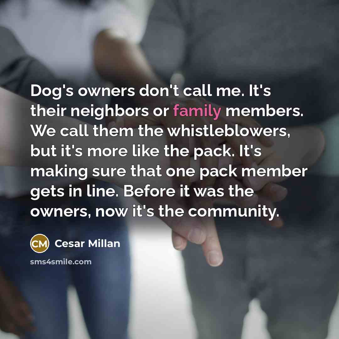 “Dog's owners don't call me. It's their neighbors or family…” quote by Cesar Millan