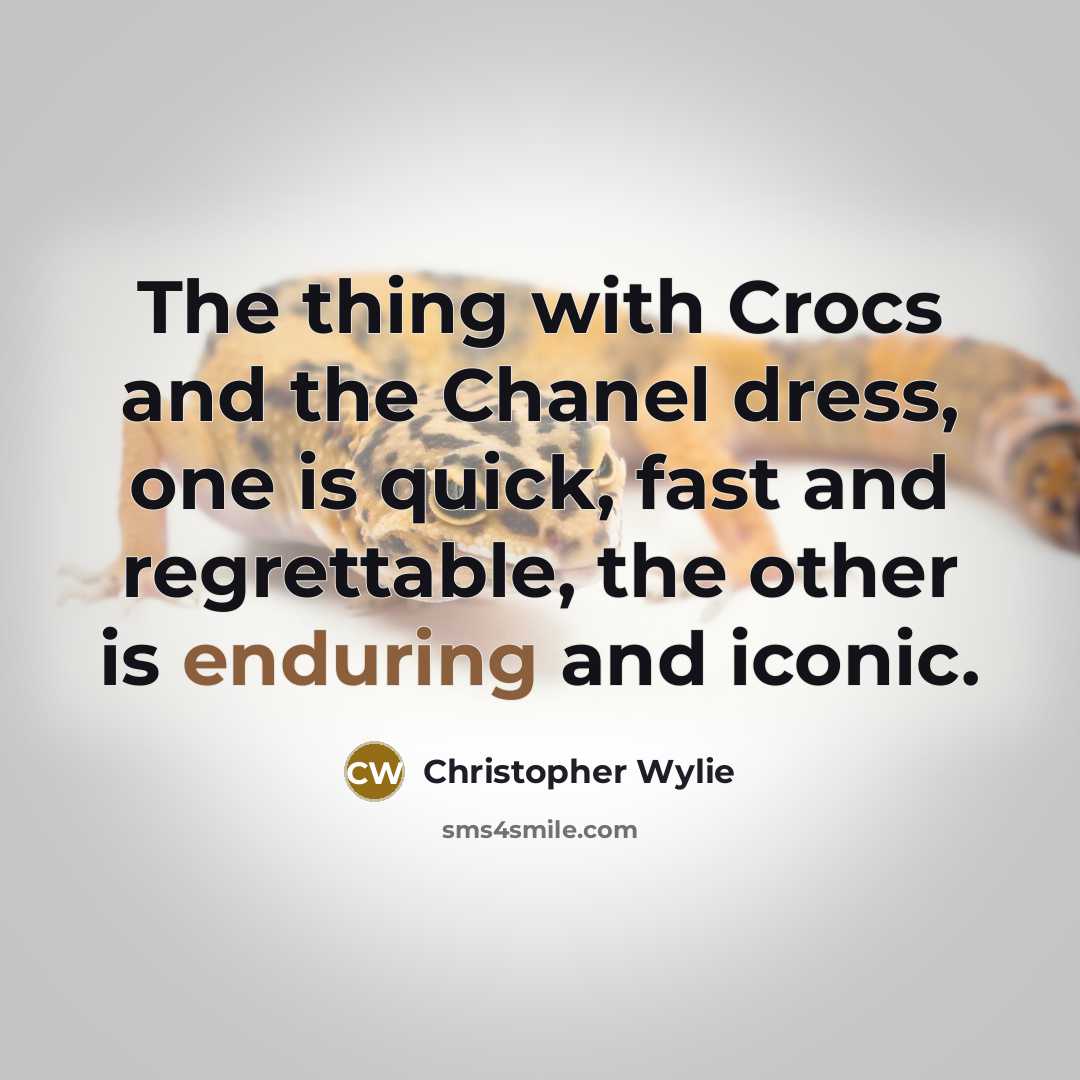 “The thing with Crocs and the Chanel dress, one is…” quote by Christopher Wylie