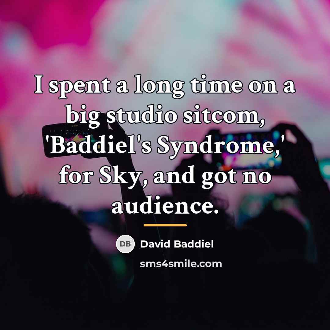 “I spent a long time on a big studio sitcom,…” quote by David Baddiel