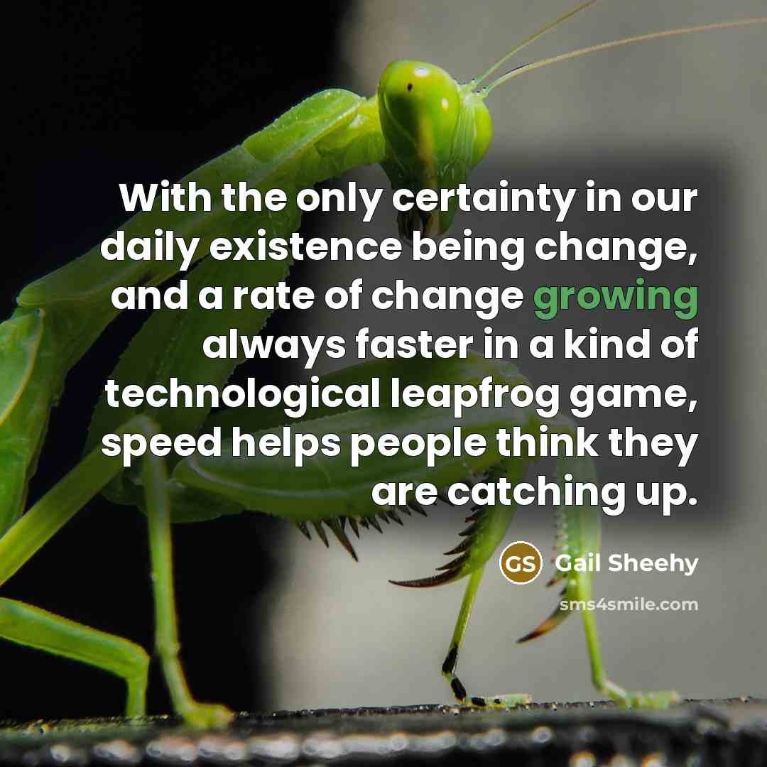 “With the only certainty in our daily existence being change,…” quote by Gail Sheehy