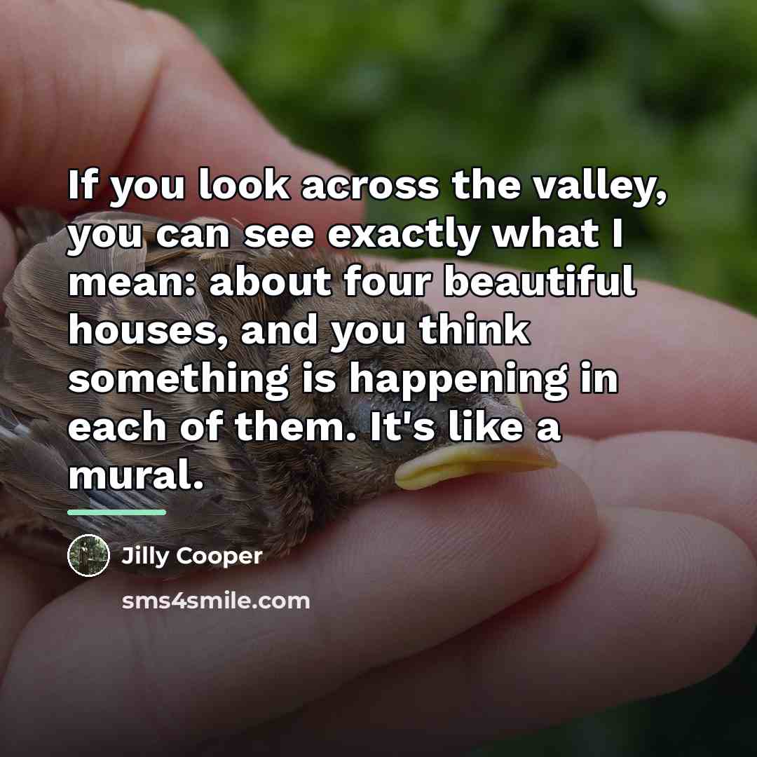 “If you look across the valley, you can see exactly…” quote by Jilly Cooper