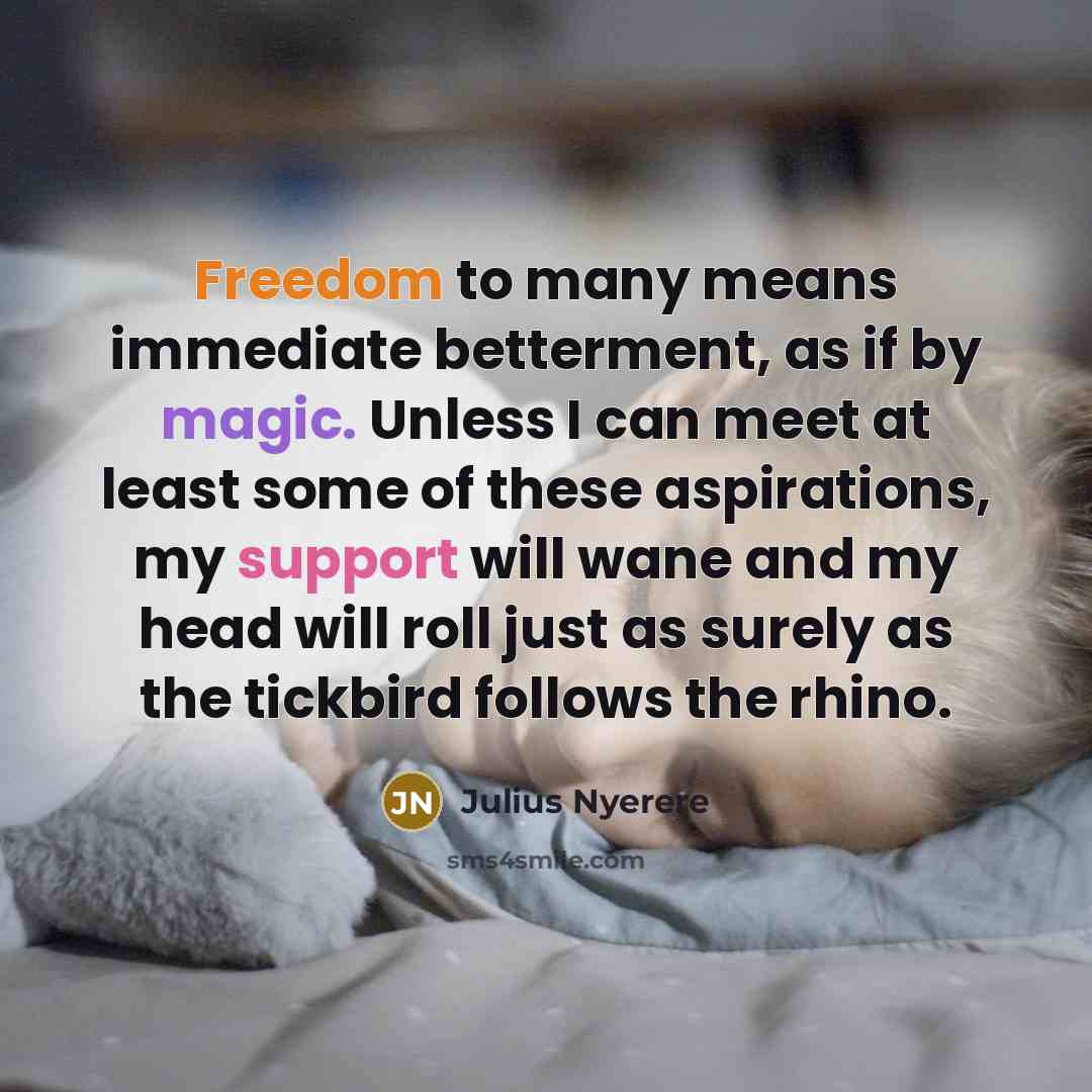 “Freedom to many means immediate betterment, as if by magic.…” quote by Julius Nyerere