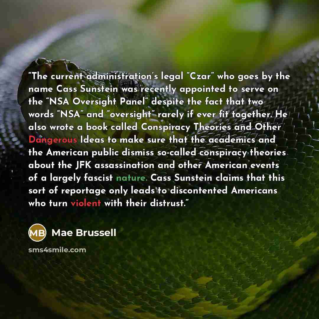 “The current administration’s legal “Czar” who goes by the name Cass Sunstein was recently appointed to serve on the “NSA Oversight Panel” despite the fact that two words “NSA” and “oversight” rarely if ever fit together. He also wrote a book called Conspiracy Theories and Other Dangerous Ideas to…” quote by Mae Brussell