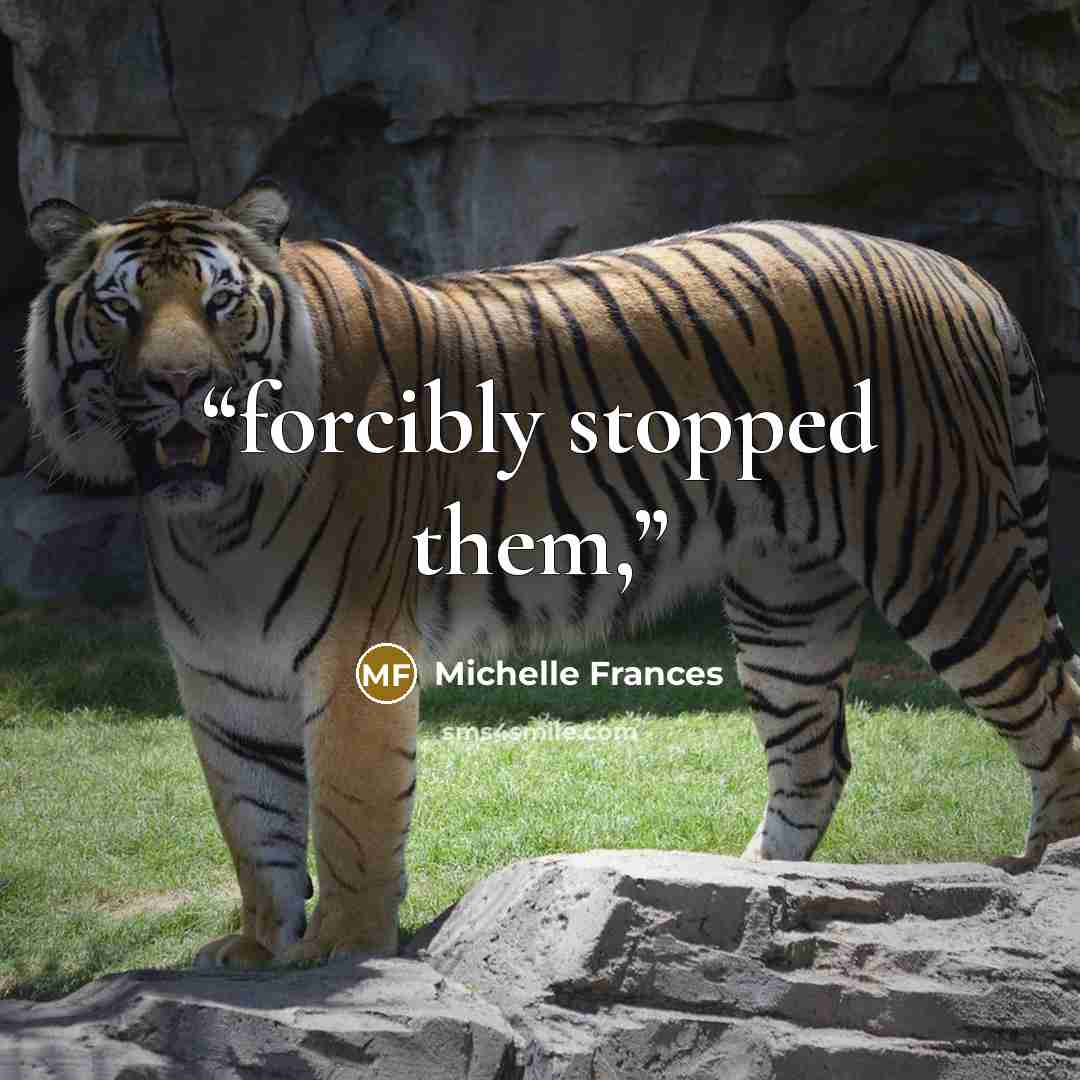 “forcibly stopped them,” quote by Michelle Frances