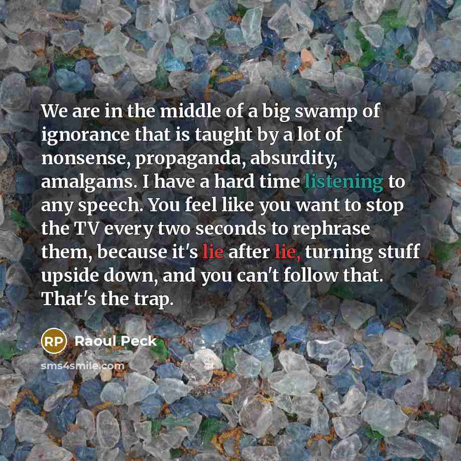 “We are in the middle of a big swamp of…” quote by Raoul Peck
