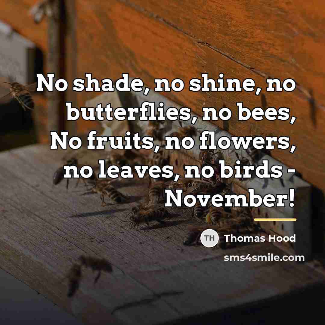 “No shade, no shine, no butterflies, no bees, No fruits,…” quote by Thomas Hood