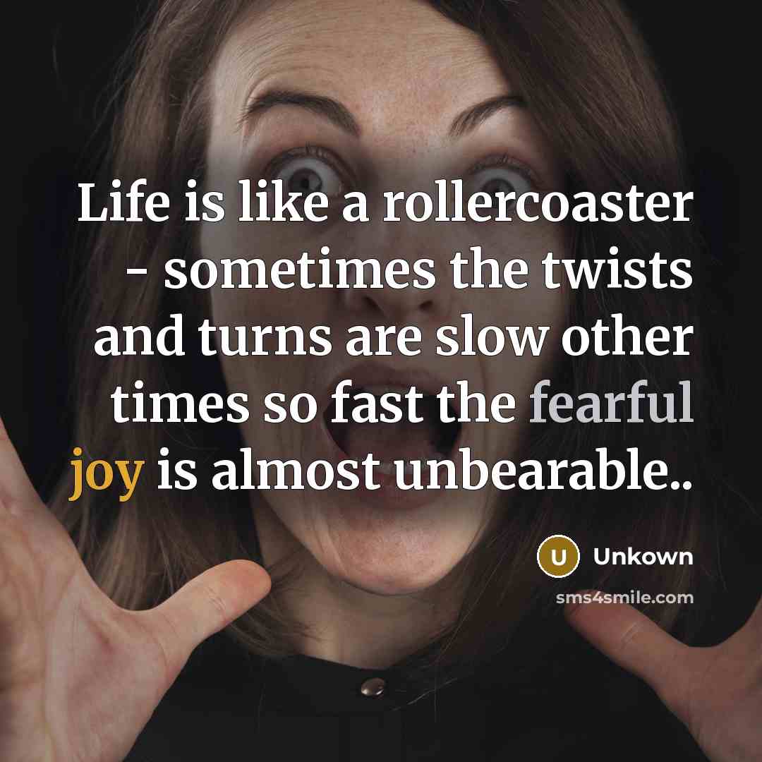 “Life is like a rollercoaster - sometimes the twists and turns are slow other times so fast the fearful joy is almost unbearable..” quote by Unkown