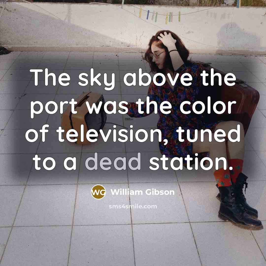 “The sky above the port was the color of television,…” quote by William Gibson