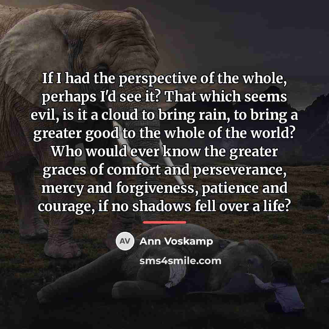 “If I had the perspective of the whole, perhaps I'd…” quote by Ann Voskamp