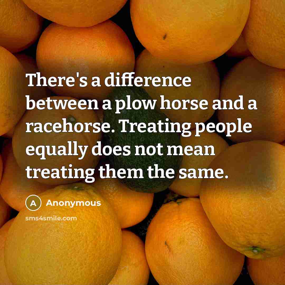 “There's a difference between a plow horse and a racehorse. Treating people equally does not mean treating them the same.” quote by Anonymous
