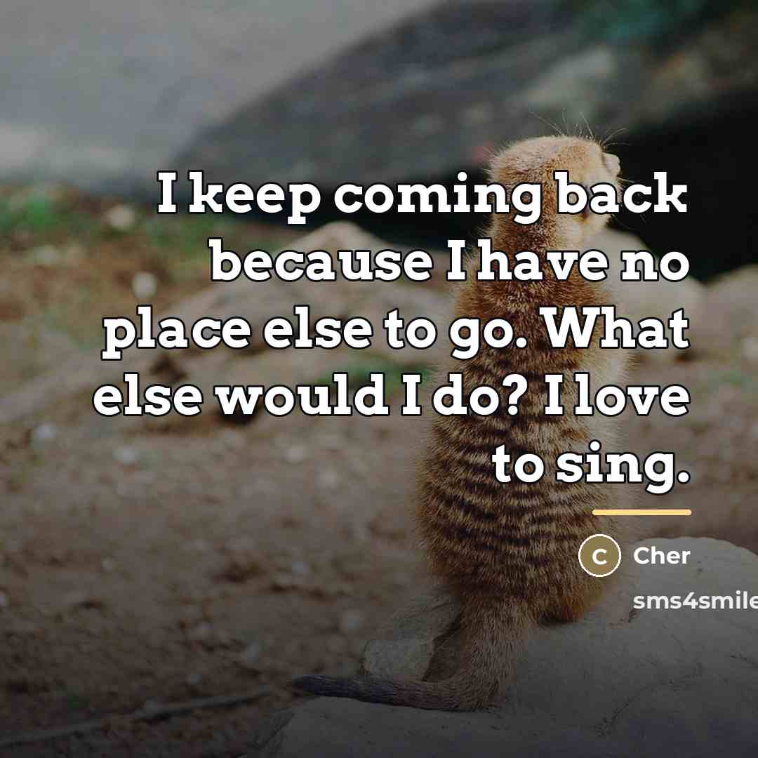 “I keep coming back because I have no place else…” quote by Cher