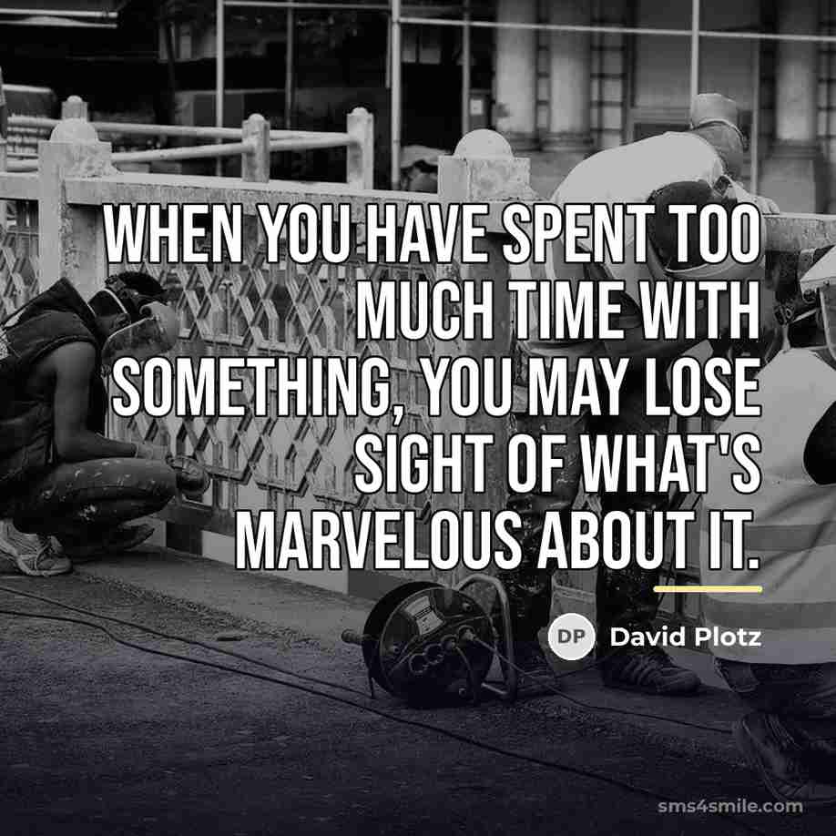 “When you have spent too much time with something, you…” quote by David Plotz