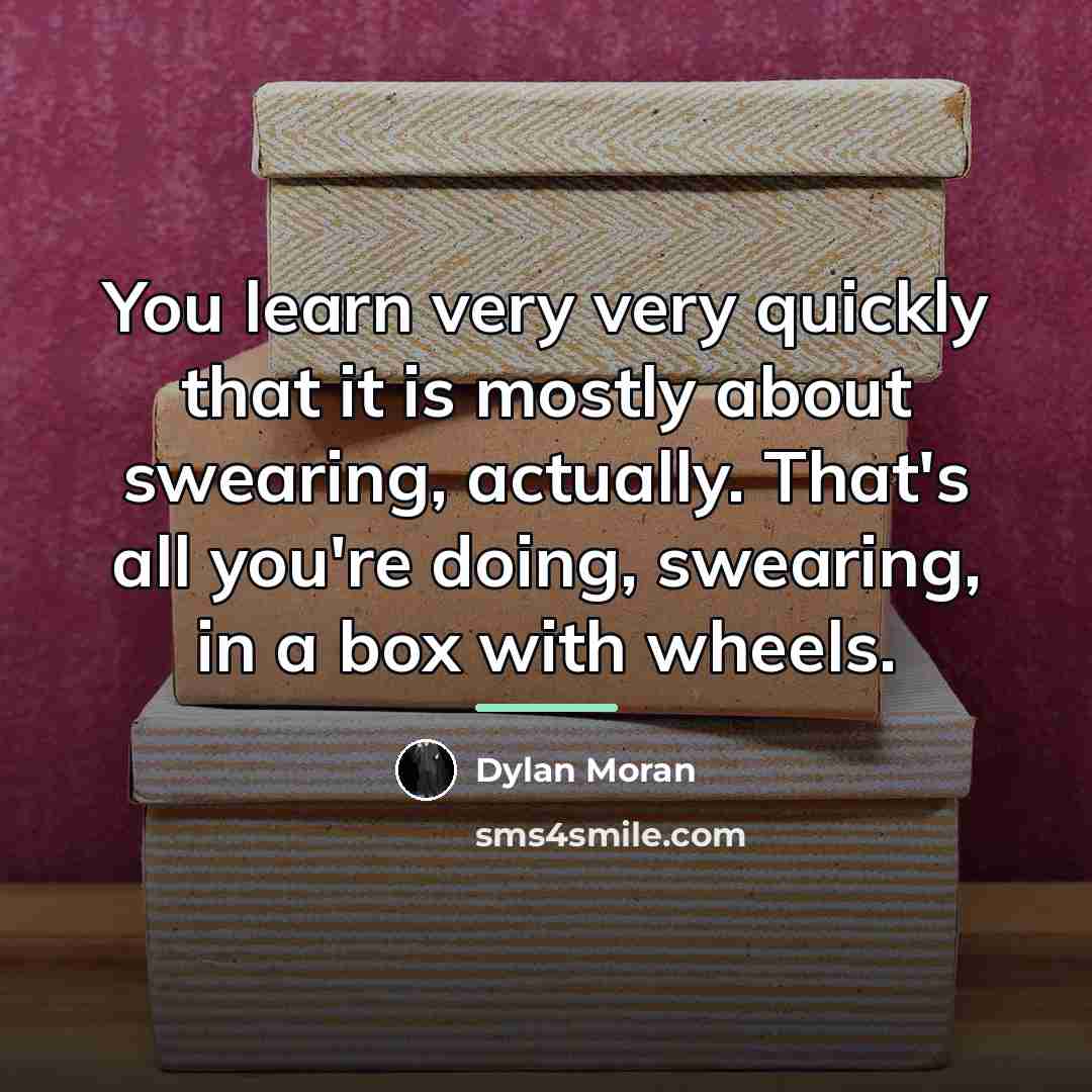 “You learn very very quickly that it is mostly about…” quote by Dylan Moran