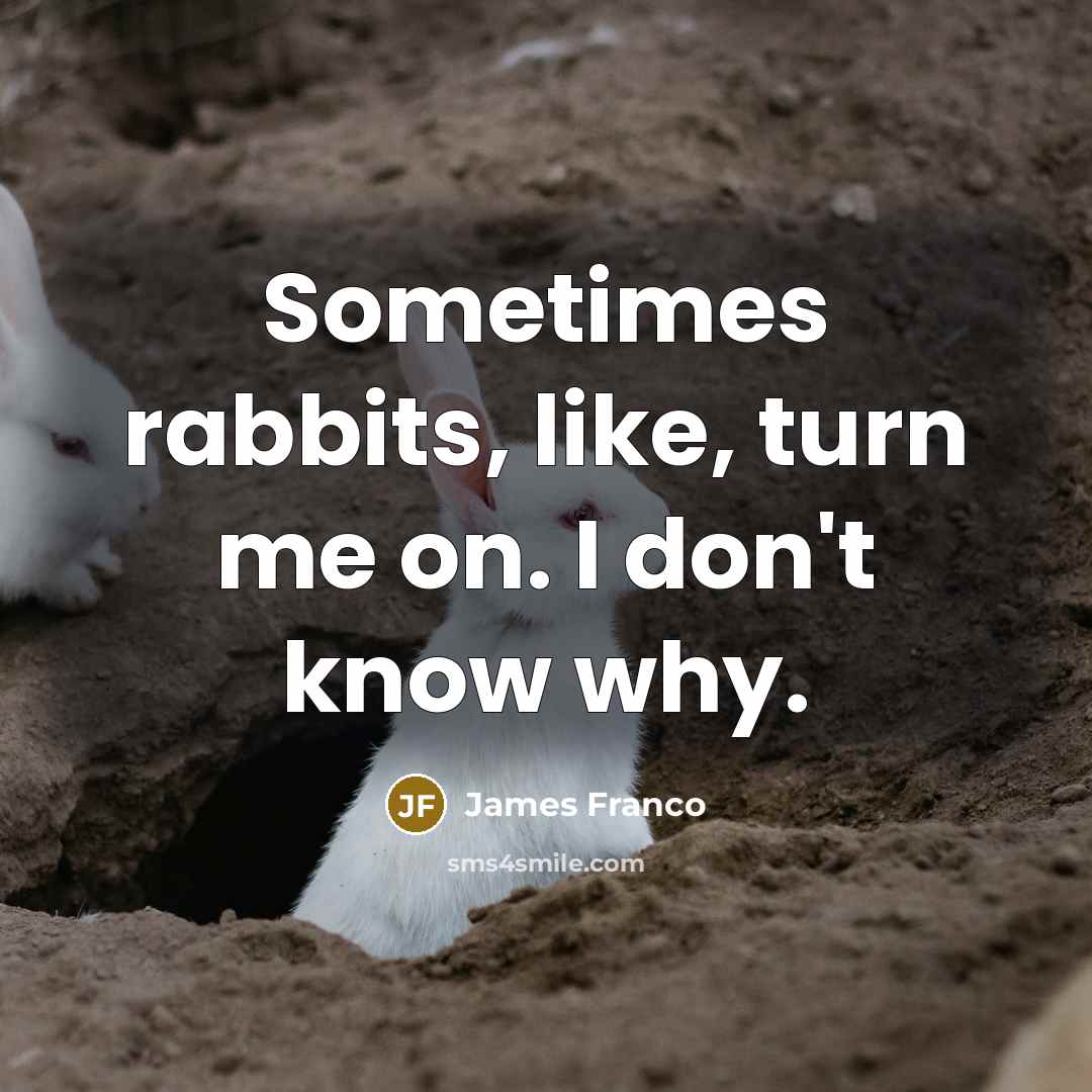 “Sometimes rabbits, like, turn me on. I don't know why.…” quote by James Franco