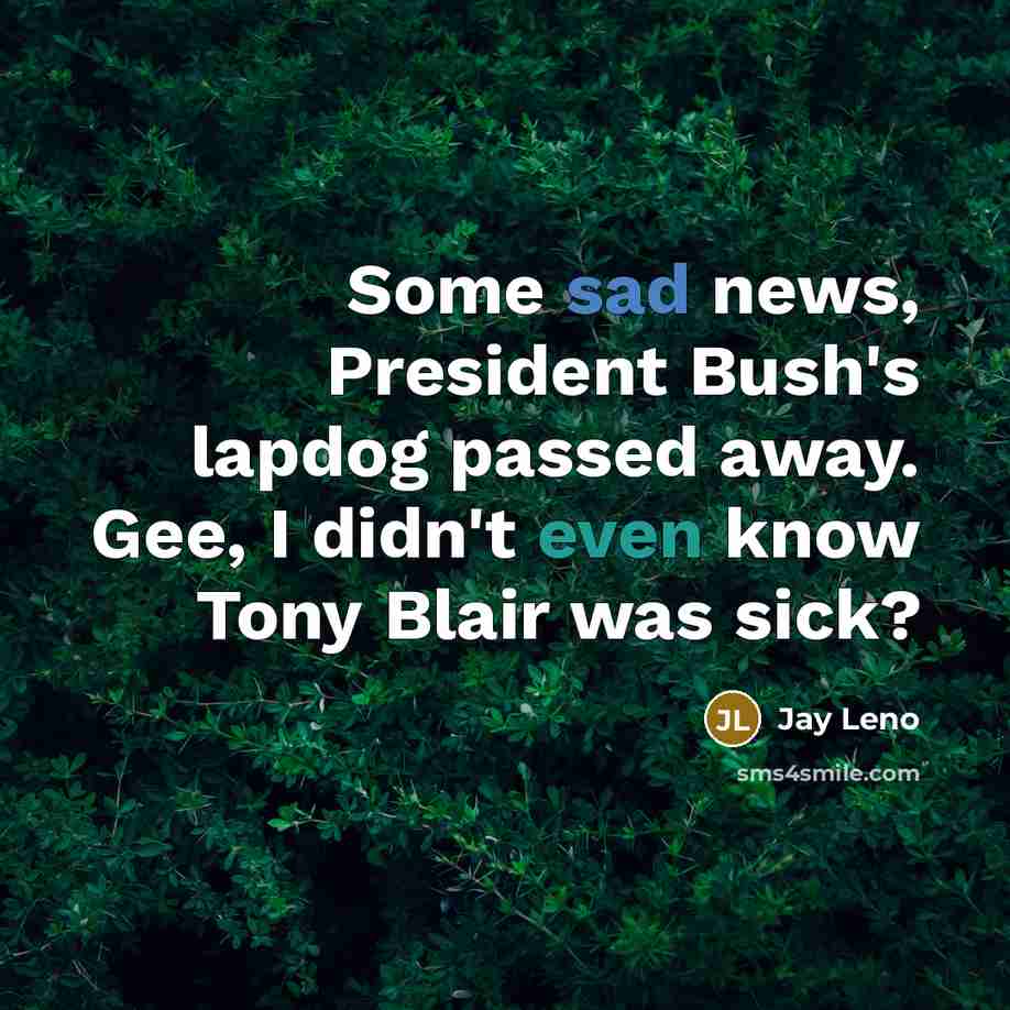 “Some sad news, President Bush's lapdog passed away. Gee, I…” quote by Jay Leno