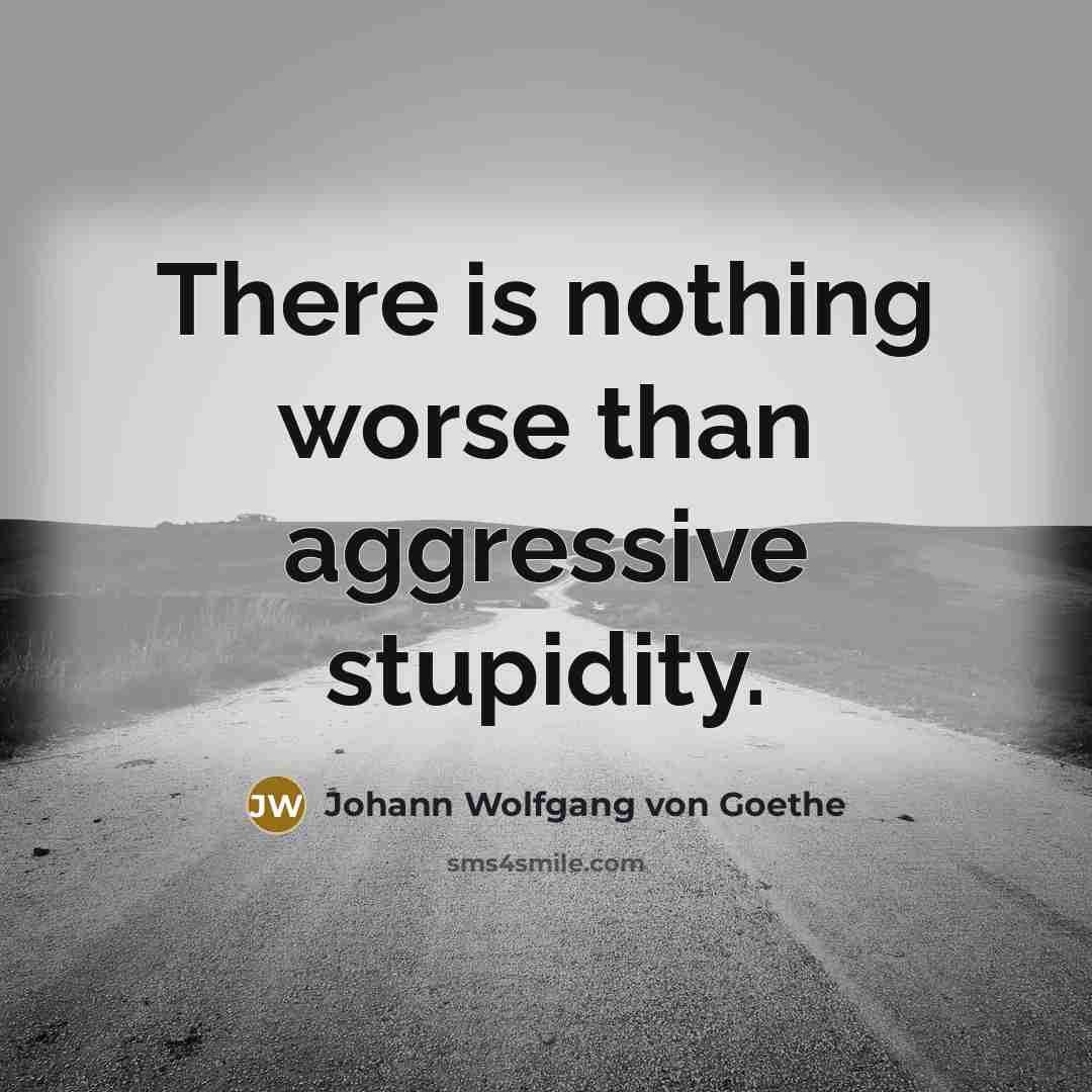 “There is nothing worse than aggressive stupidity.…” quote by Johann Wolfgang von Goethe
