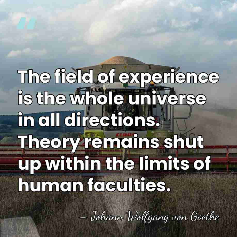 The field of experience is the whole universe in all directions. Theory&hellip; - Johann Wolfgang von Goethe
